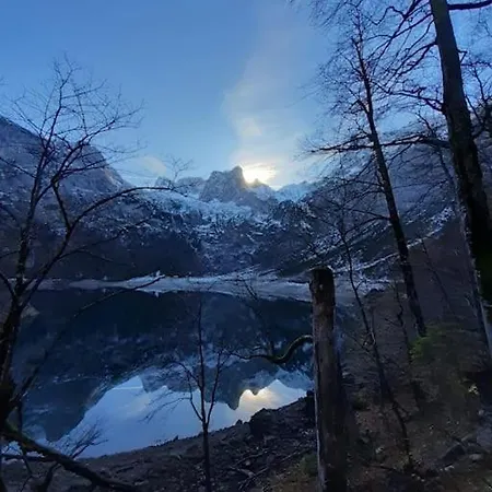 Haus Im Gruenen Apartment
