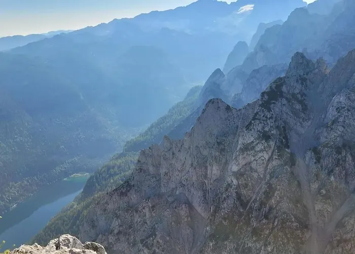 شقة Haus Im Gruenen غوساو